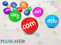 Alan Adının Gücü: Domain Sorgulama, Domain Kaydetme, Domain Transfer ve Whois Yönetimi