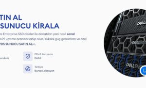 Dehost İle Güçlü Sunucu Deneyimi